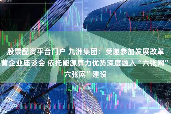 股票配资平台门户 九洲集团：受邀参加发展改革委民营企业座谈会 依托能源算力优势深度融入“六张网”建设
